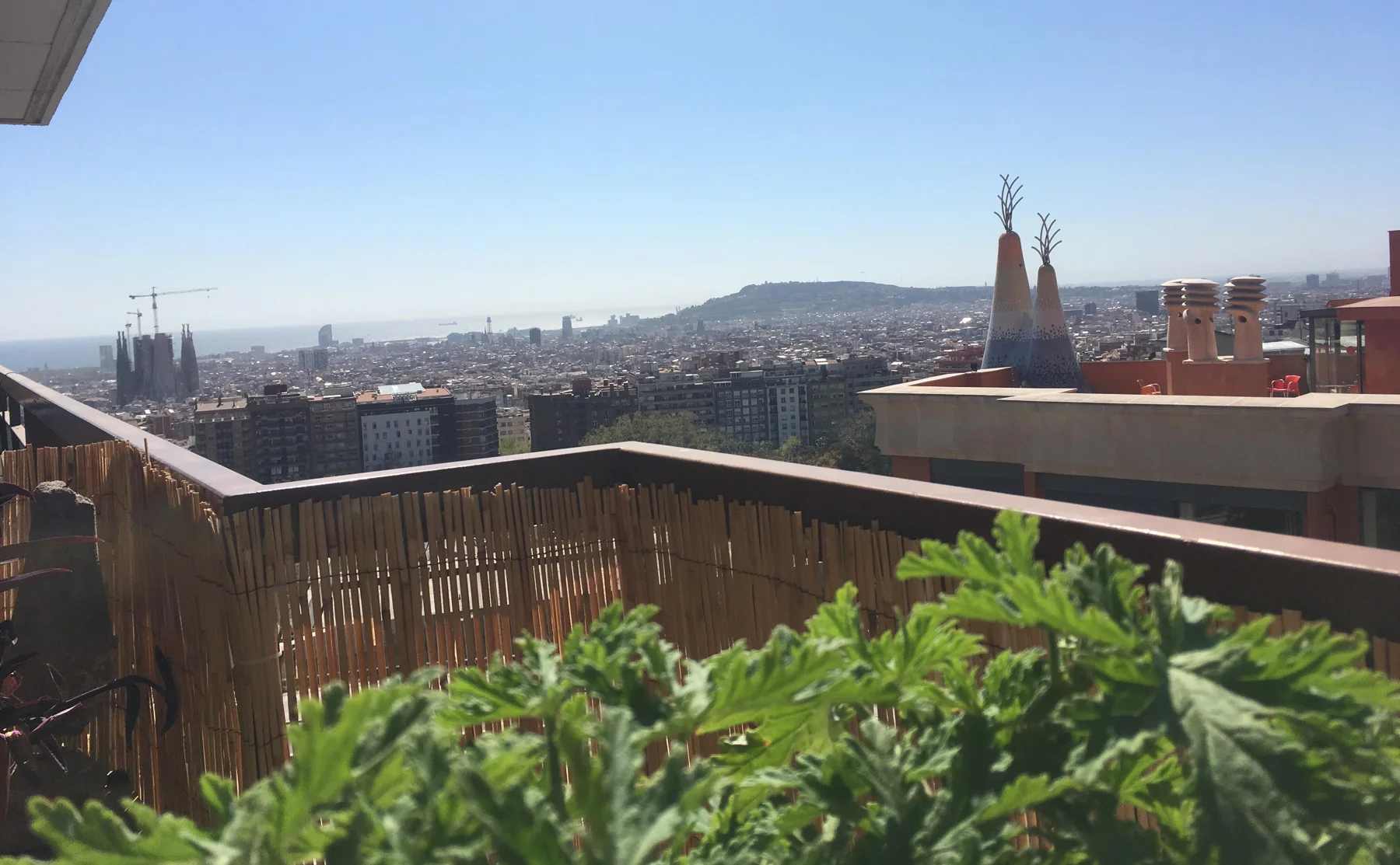 Vegetarian bistronomy tasting menu with a view in Barcelona - 1195784
