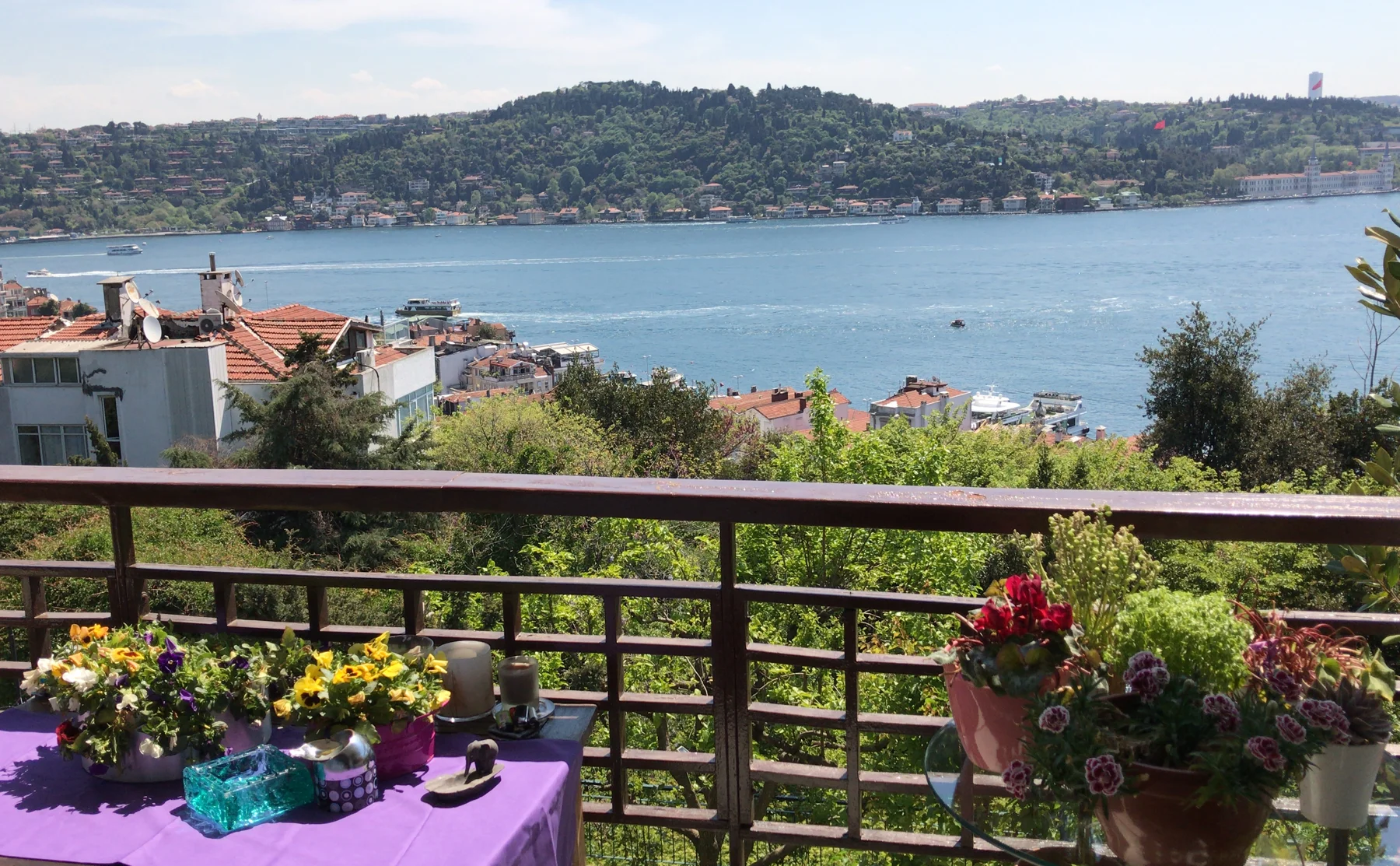Traditional Turkish Home Cooked Dinner with a Bosphorus View - 1240748