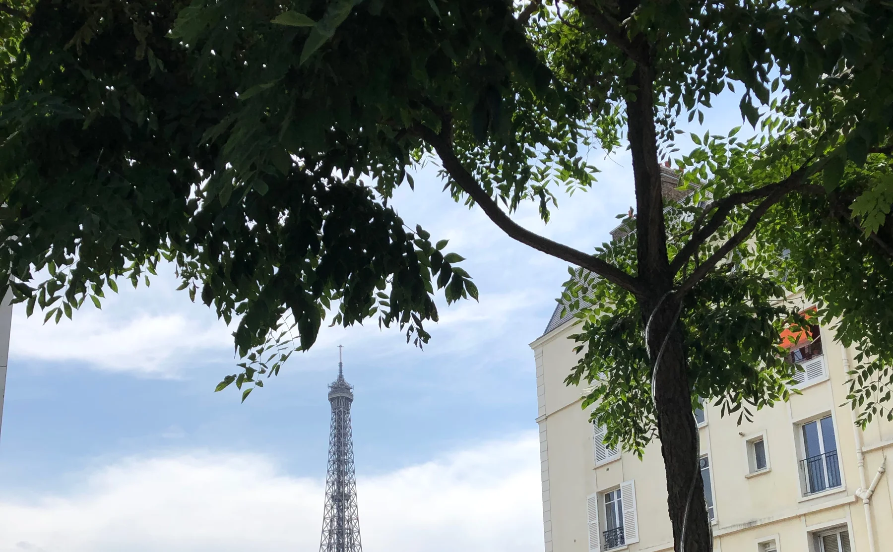 Organic Market Tasting & History Tour by the Eiffel Tower - 1251341