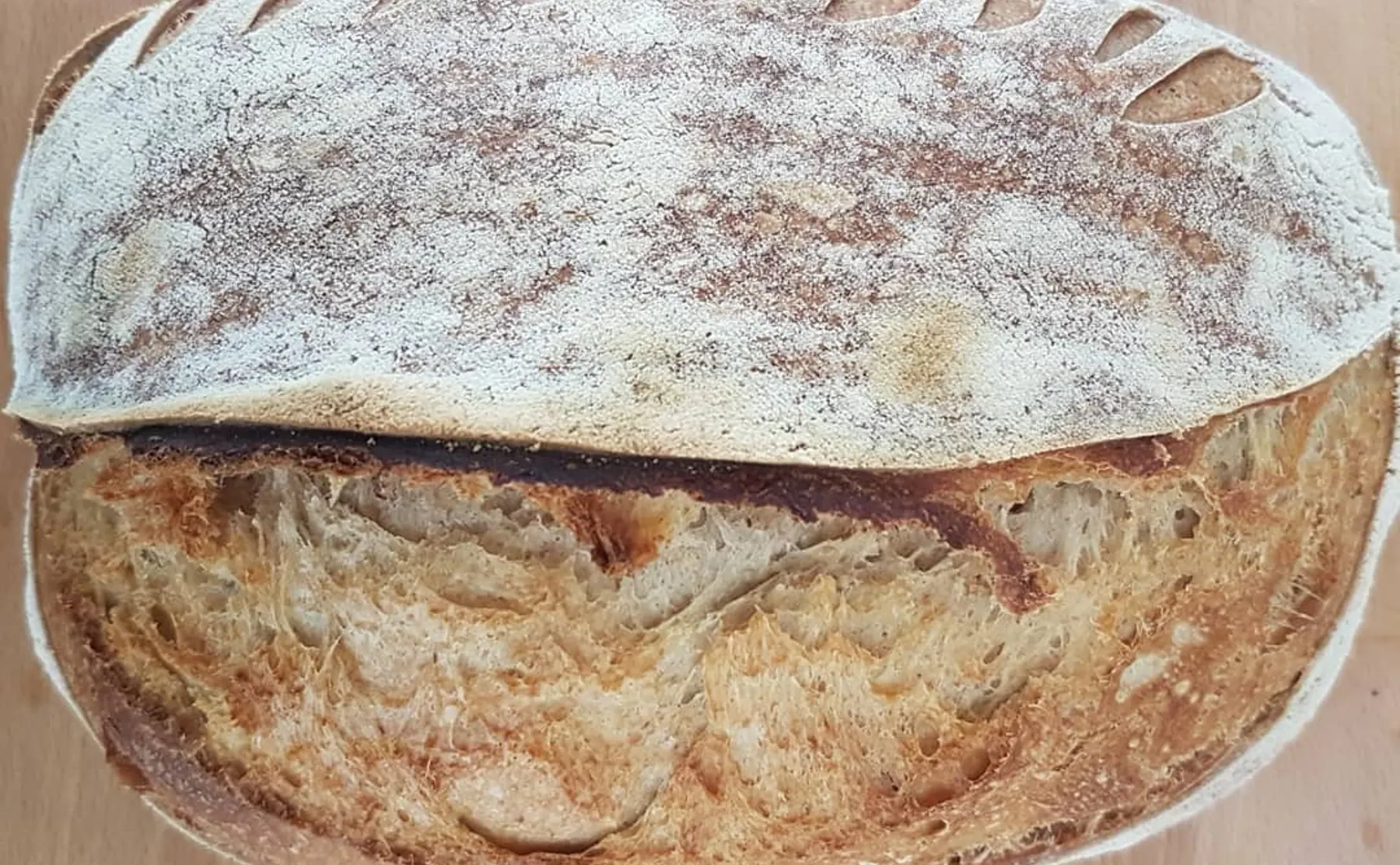 Learn to make sourdough bread - 1303668