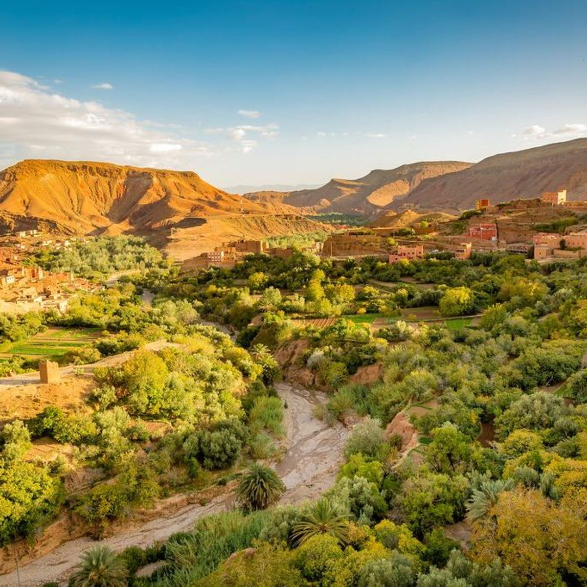 Day trip to the Atlas Mountains with a Berber lunch