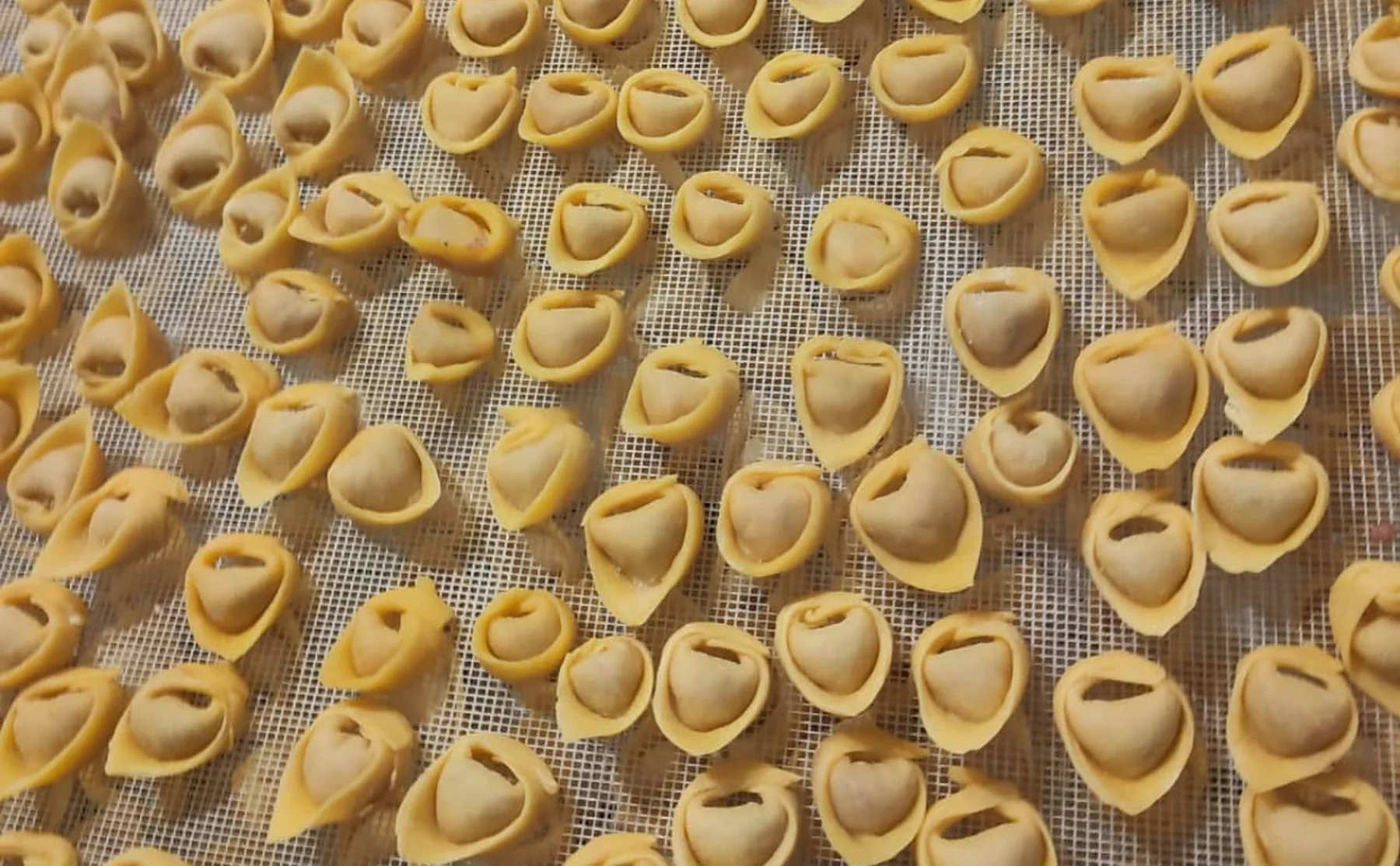 Fresh and filled pasta: cooking lesson and dinner near Cefalù - 1399835