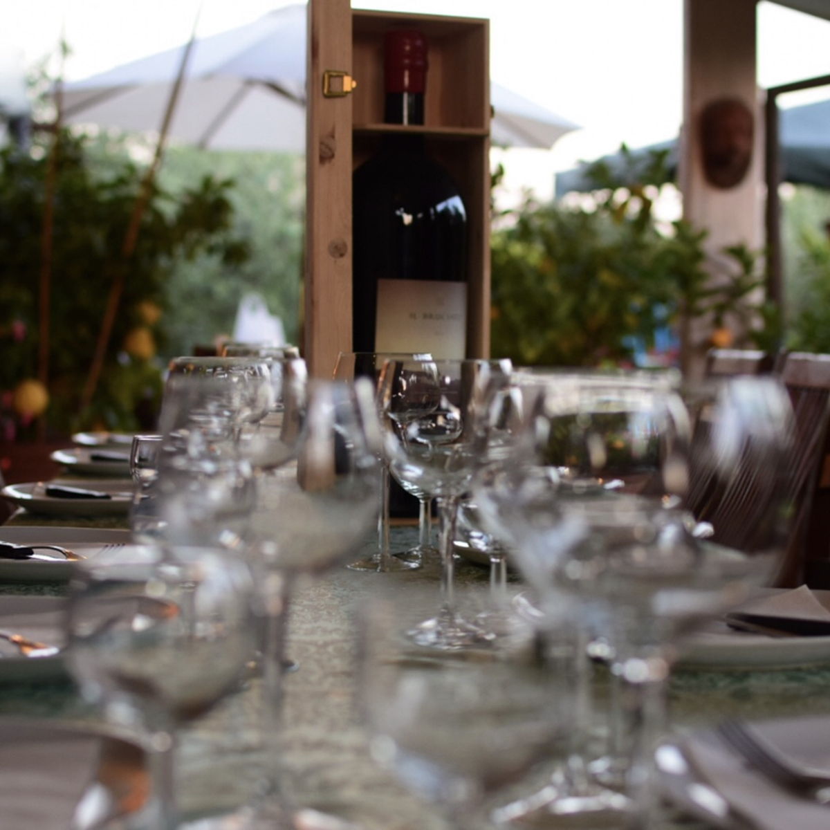 7-course Tuscan dinner in an Italian secret garden