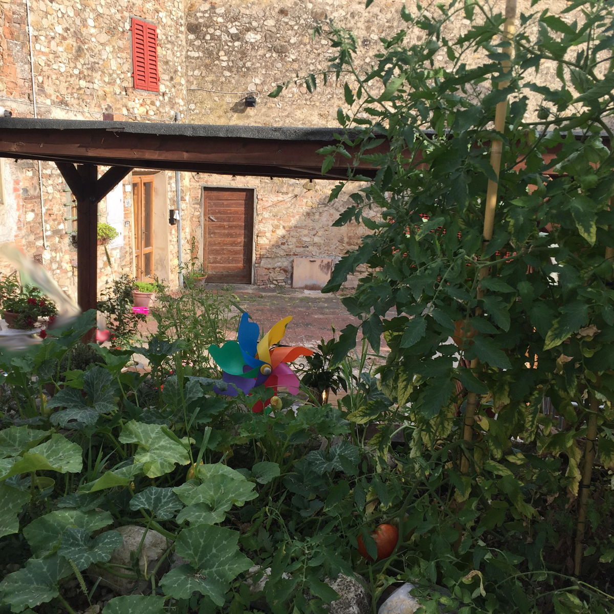 4-course Organic dinner in a Tuscan yard