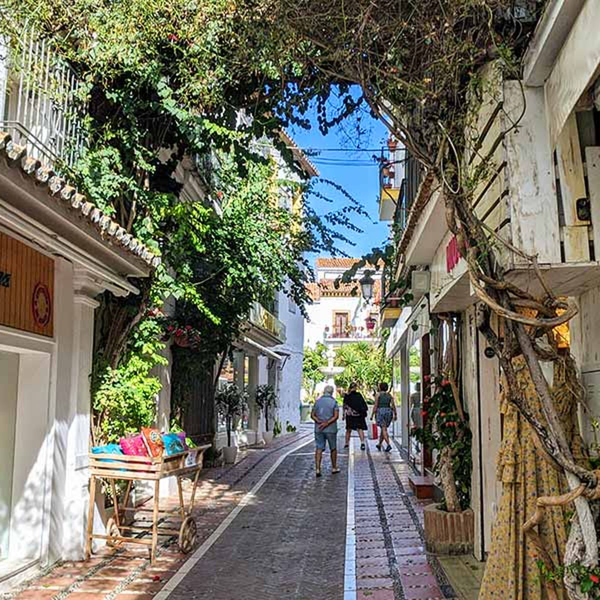 Discover secret gems and traditional tapas around Marbella