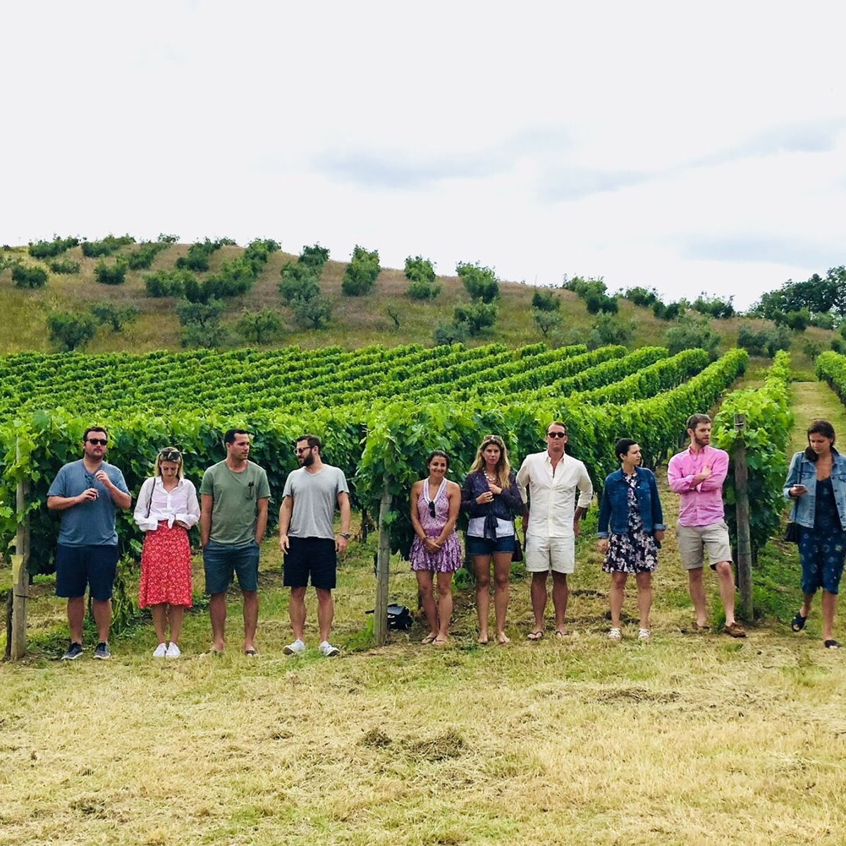 Brunello di Montalcino 3 wineries tour with Lunch
