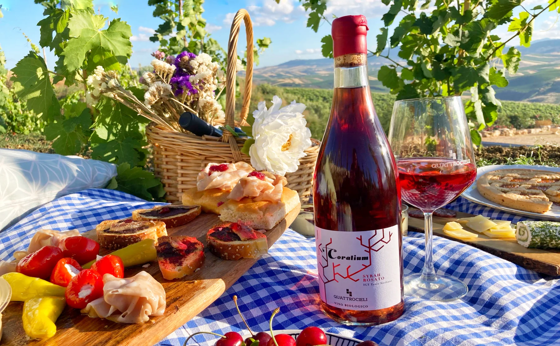 Pic-nic in winery - 1424884