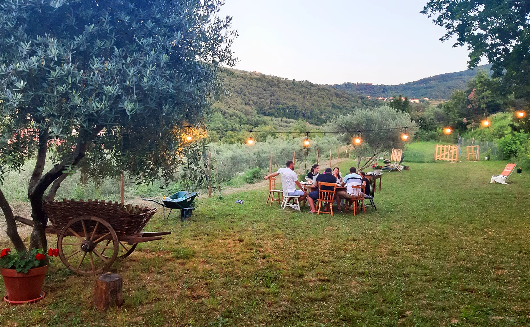 Homemade Istrian Dinner Surrounded by Olive Trees and Green Nature - 1438639