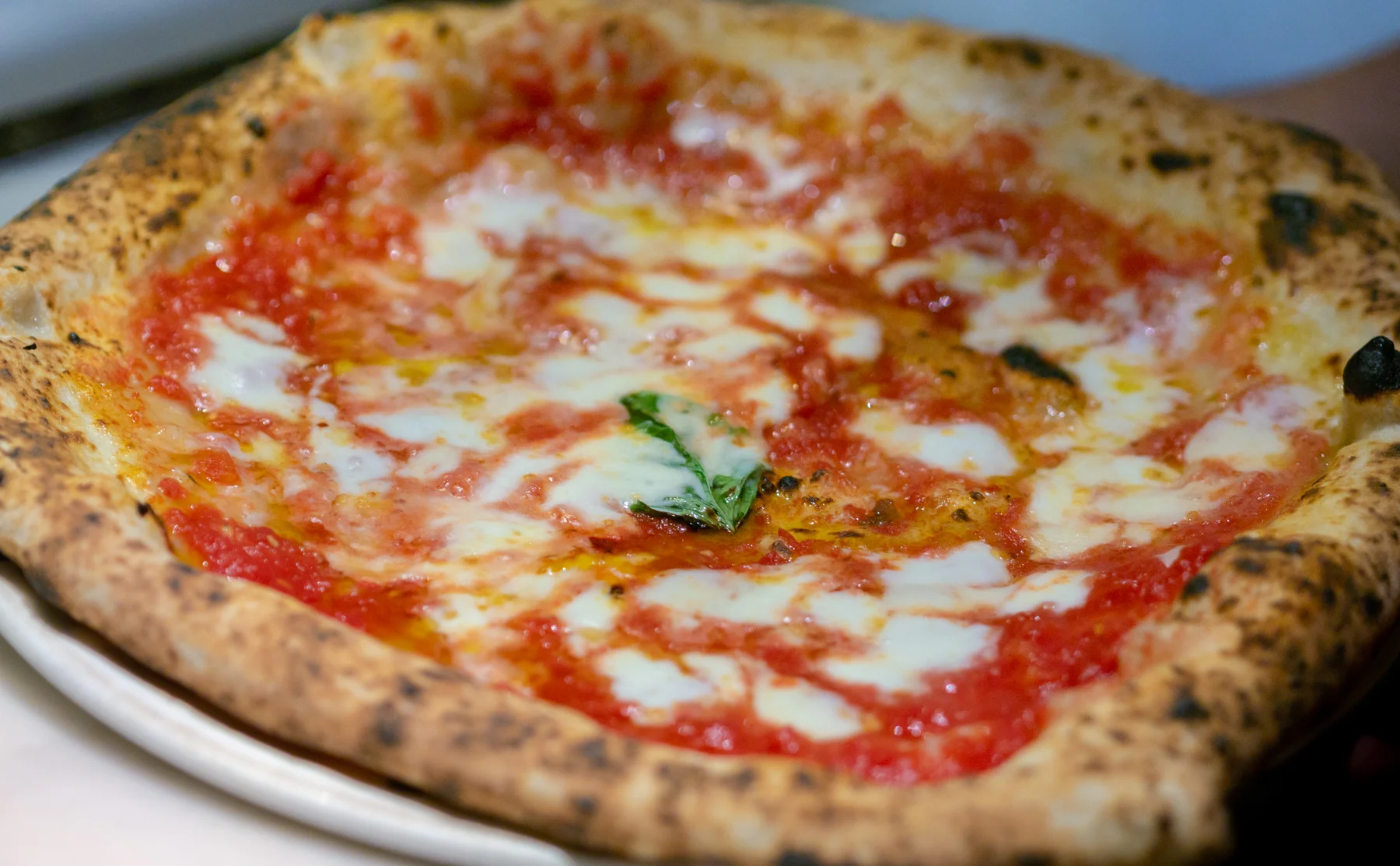 Discover and taste the best Naples Pizzas! - 1487501