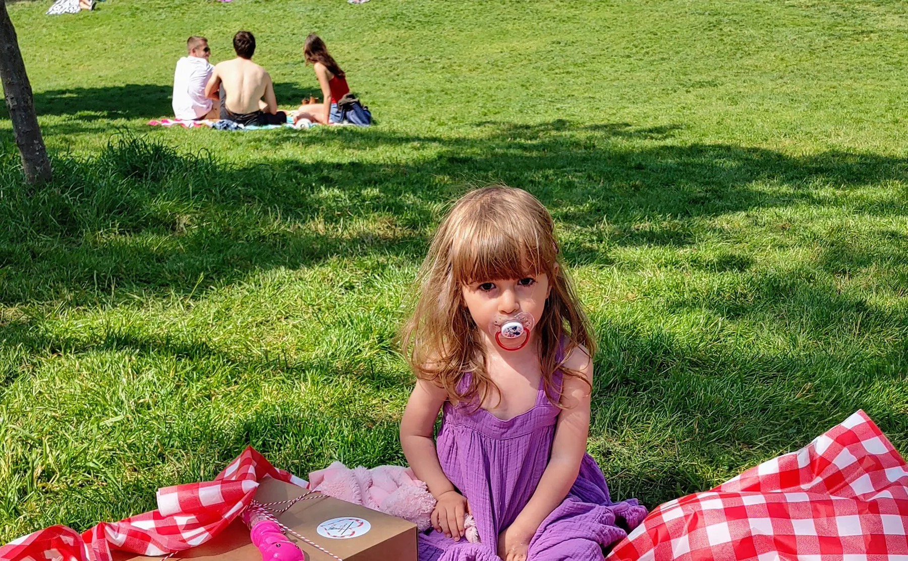 Personalized Parisian Picnic by the Eiffel Tower - 1515849