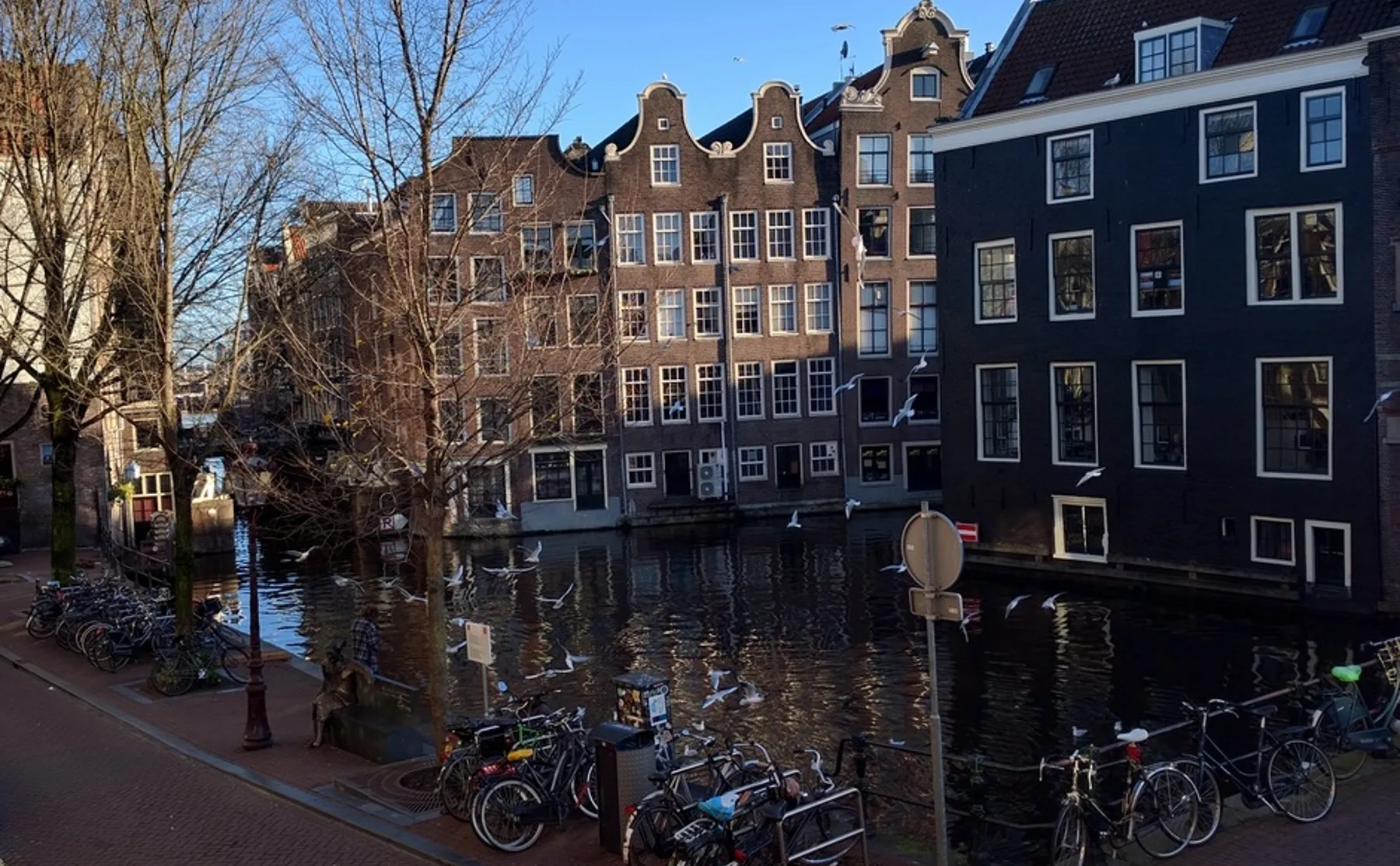 Indulge in a Seasonal Dutch Lunch & Learn the History of Amsterdam - 1543605