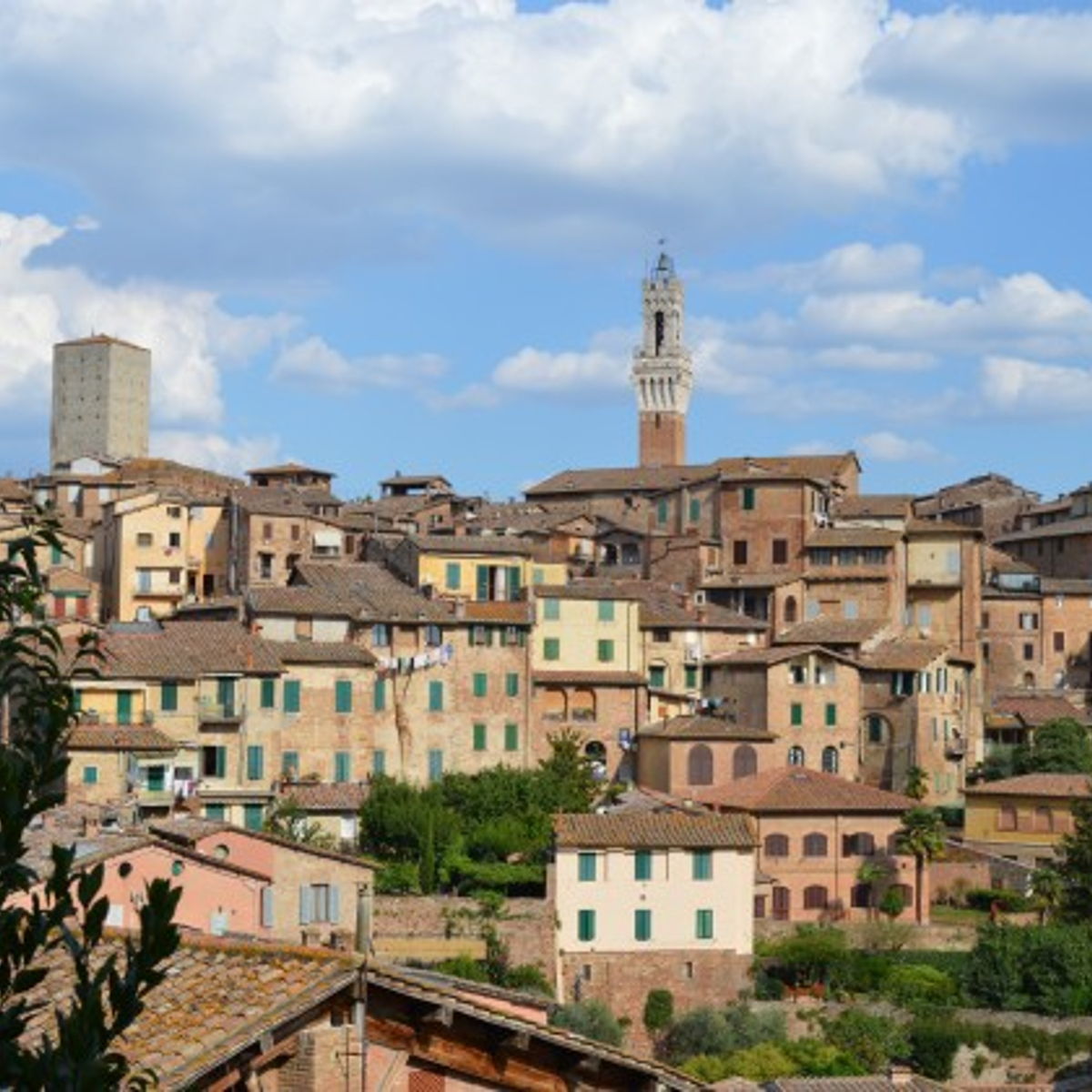 Private walking tour in Siena and Bakery