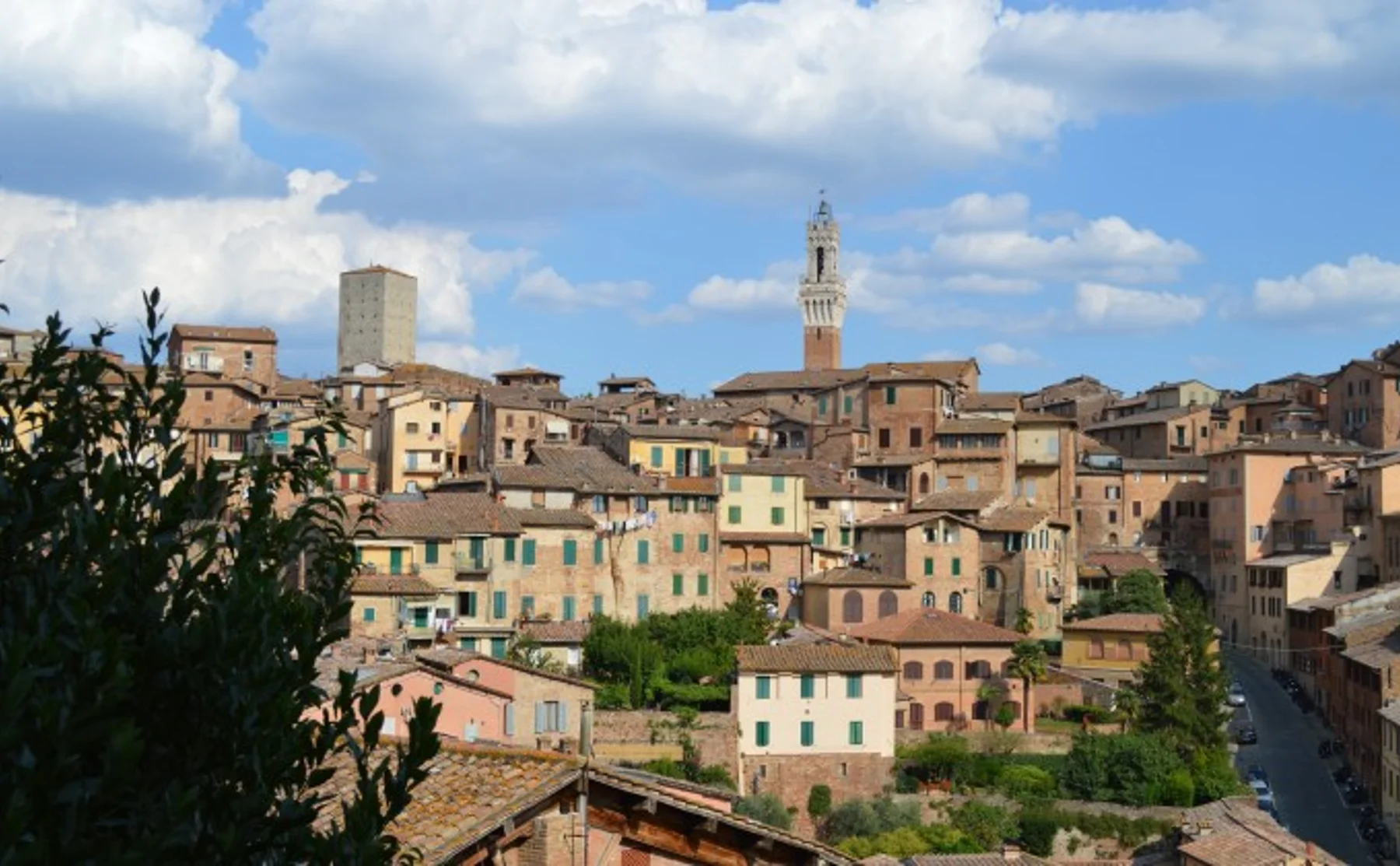Private walking tour in Siena and Bakery - 262463