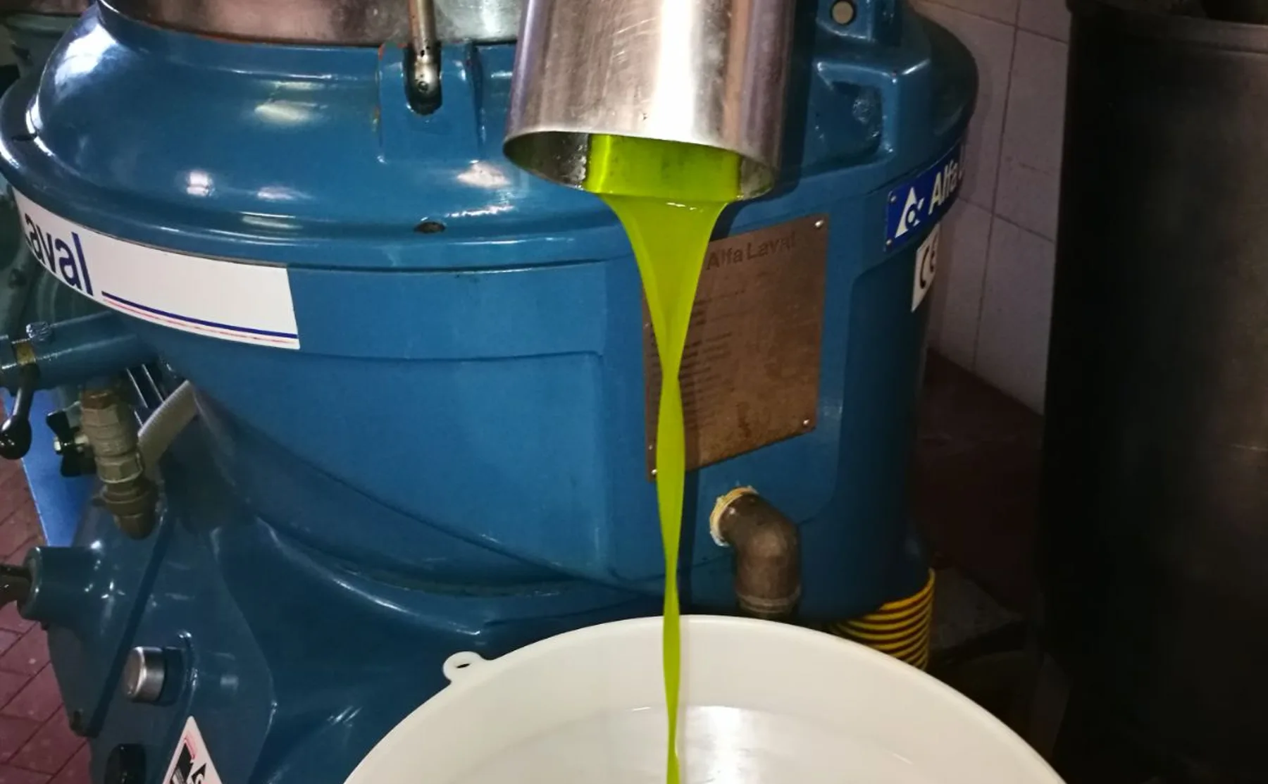 Olive oil tasting in a real crusher - 455100