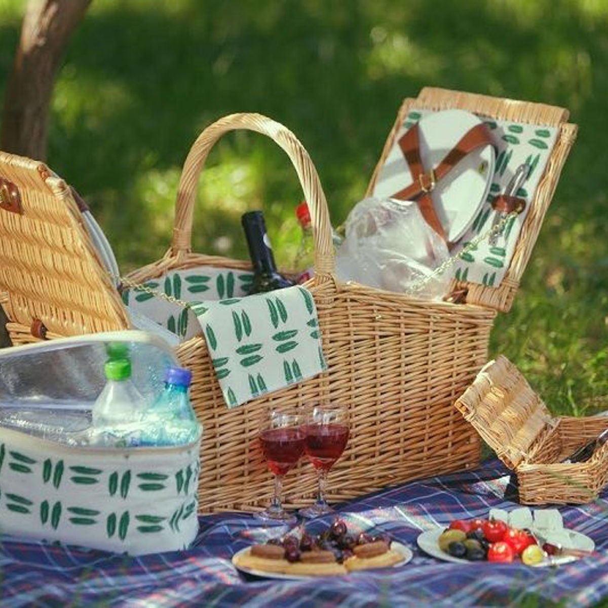 Romanian  picnic