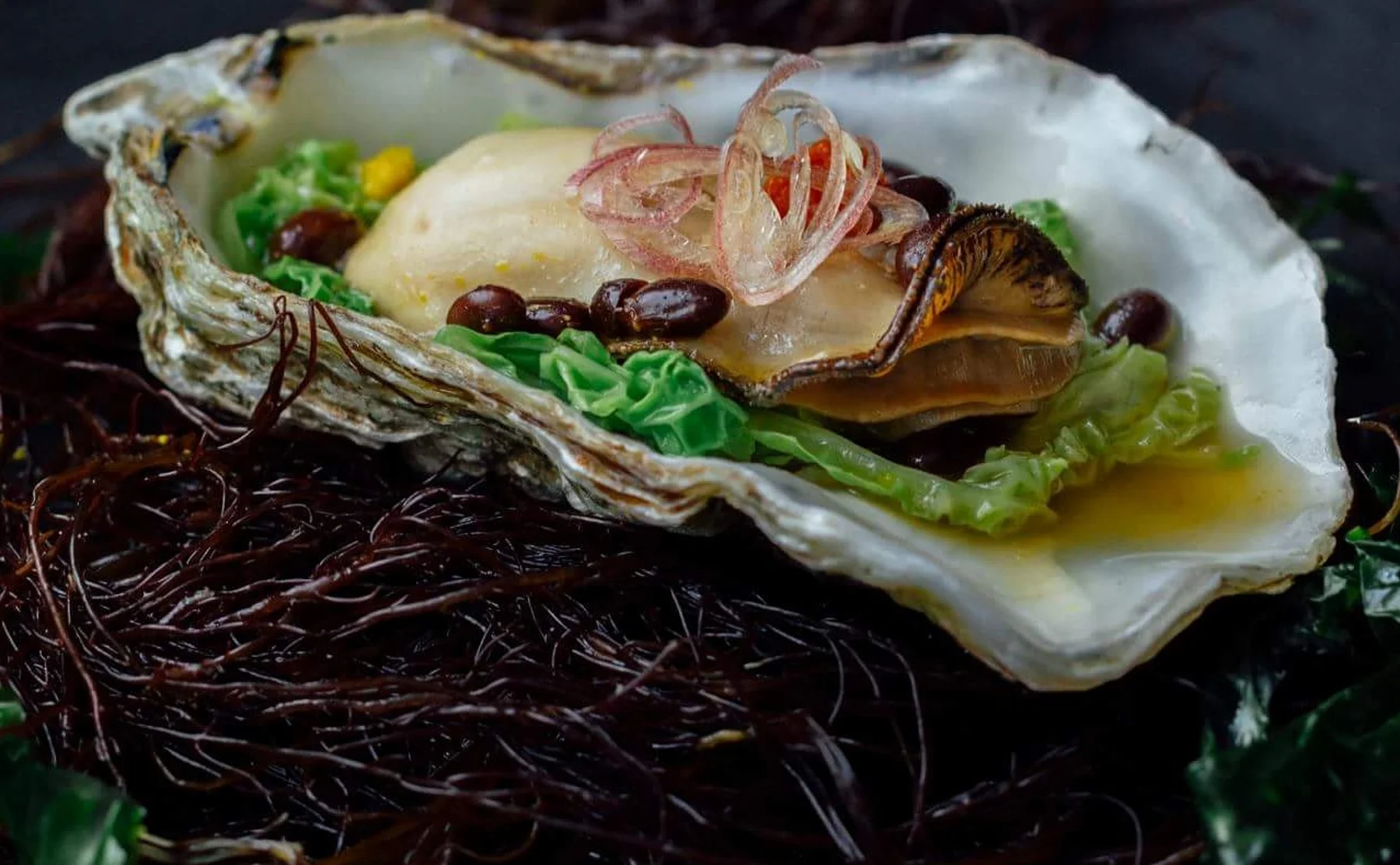 Multi-course Japanese Seafood Tasting Menu // Bernal Heights - 473851