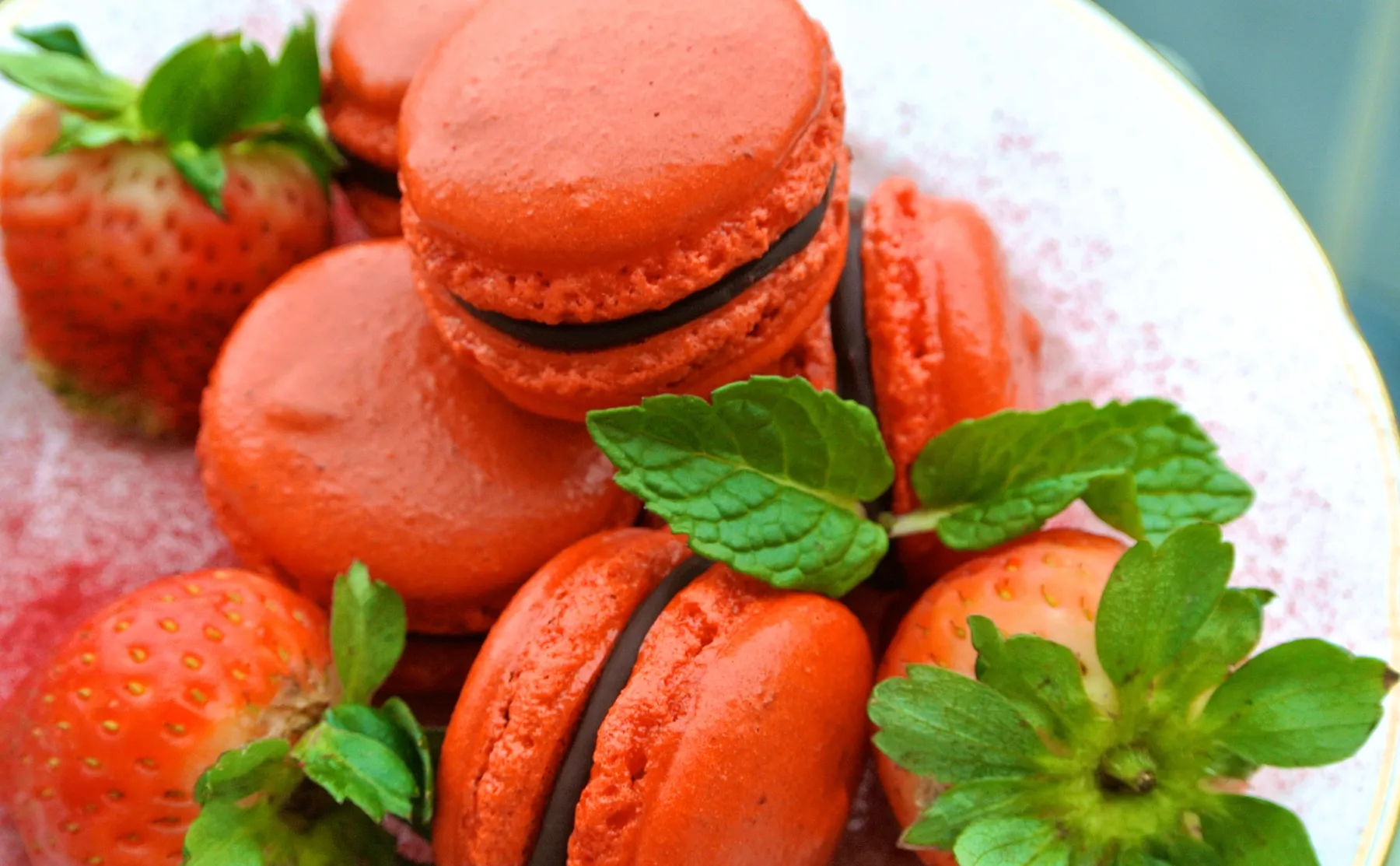 French Macarons & Bubbly - 635060
