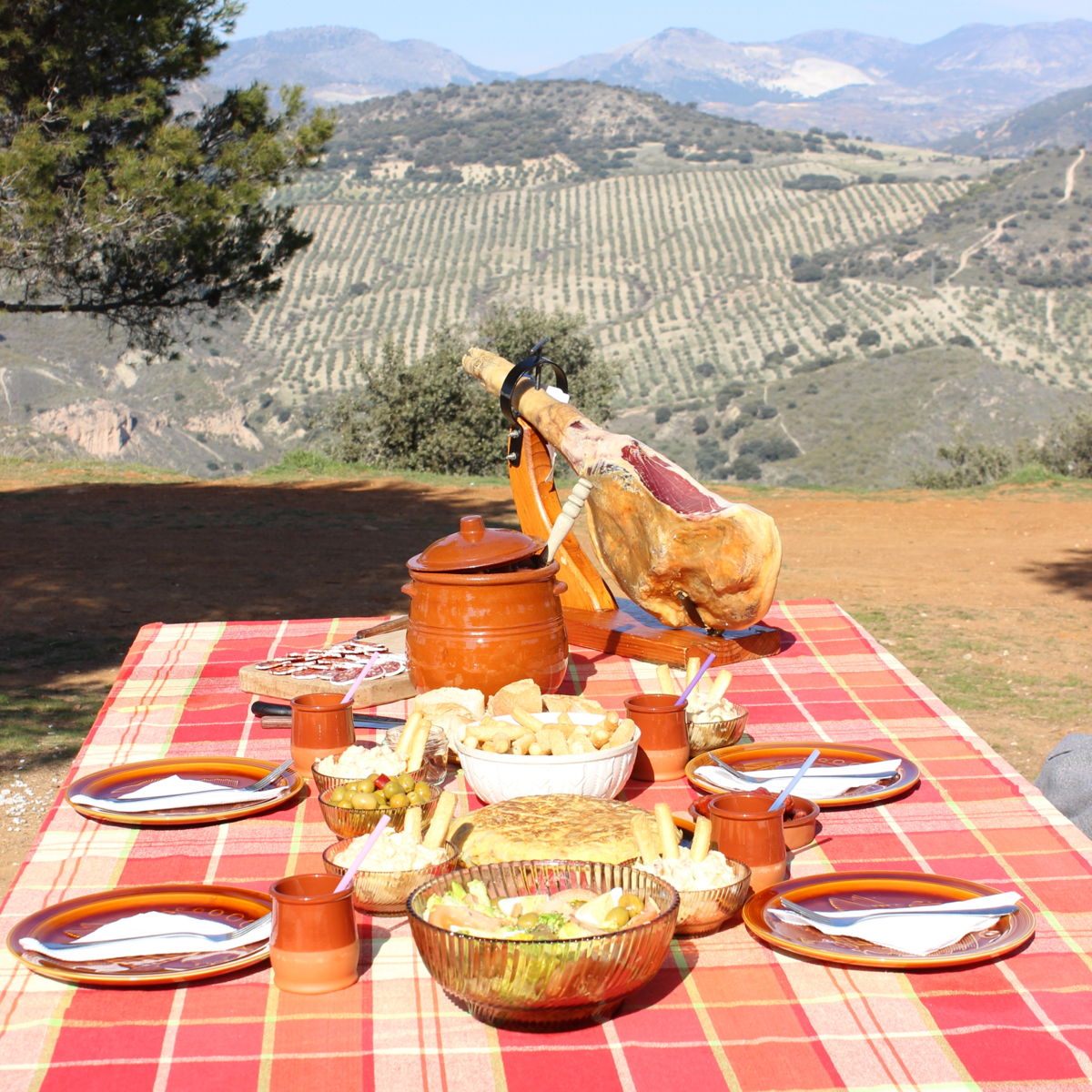 Andalusian picnic in the Granada countryside