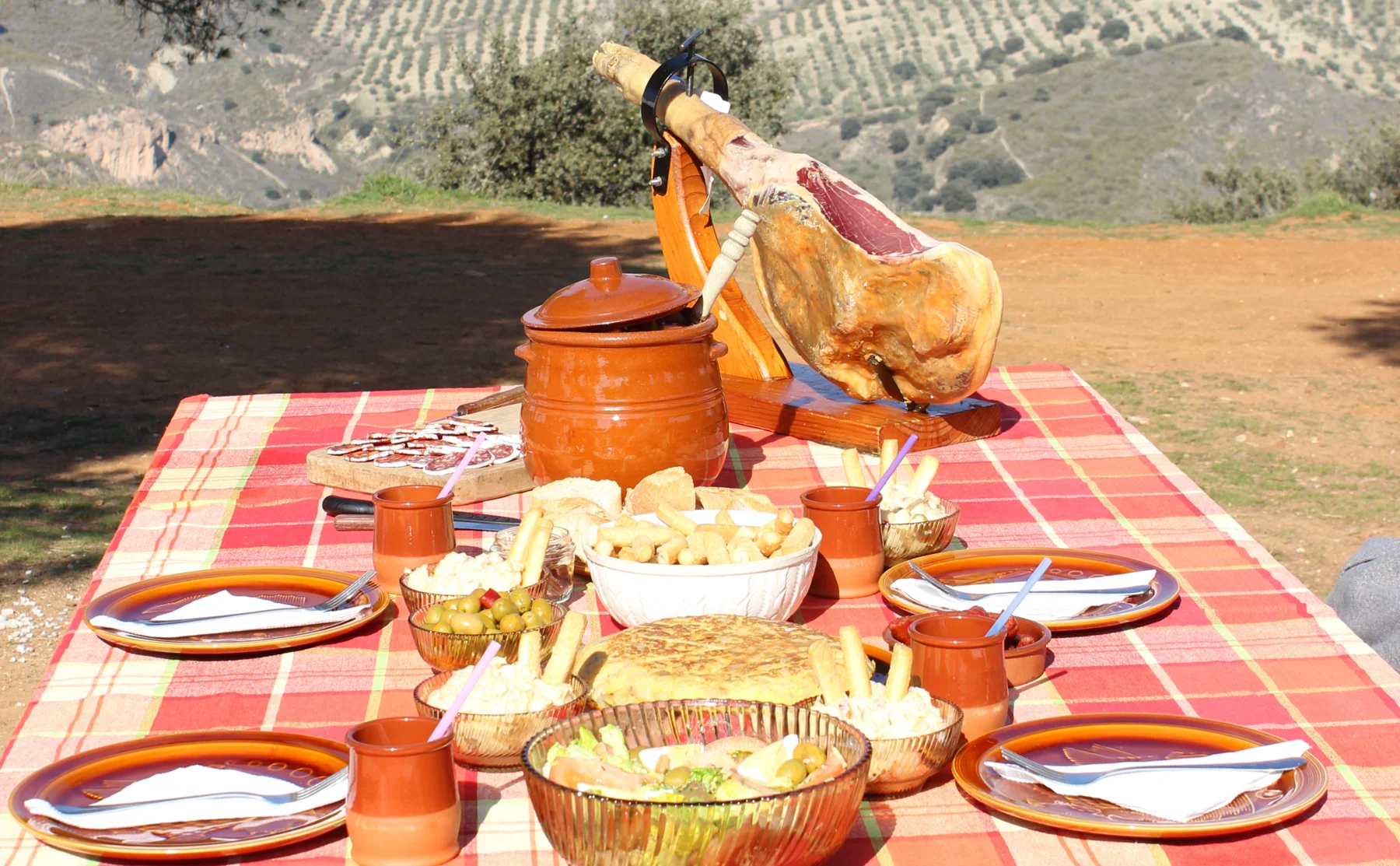 Andalusian picnic in the Granada countryside - 639313
