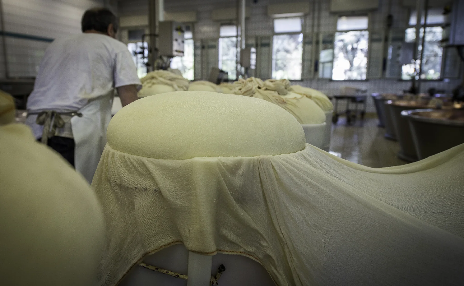 Take A Tour Of Italy’s Most Iconic Cheese Factory - 814338