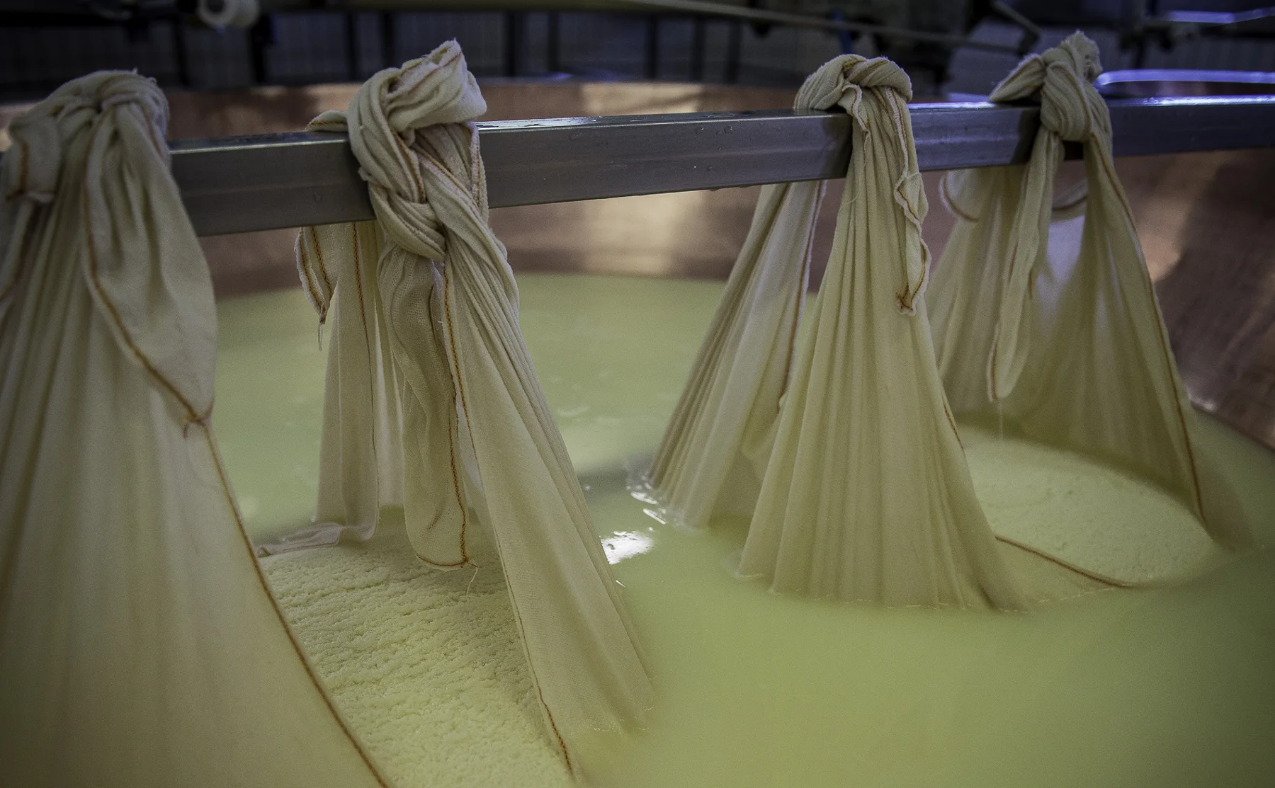 Take A Tour Of Italy’s Most Iconic Cheese Factory - 814340