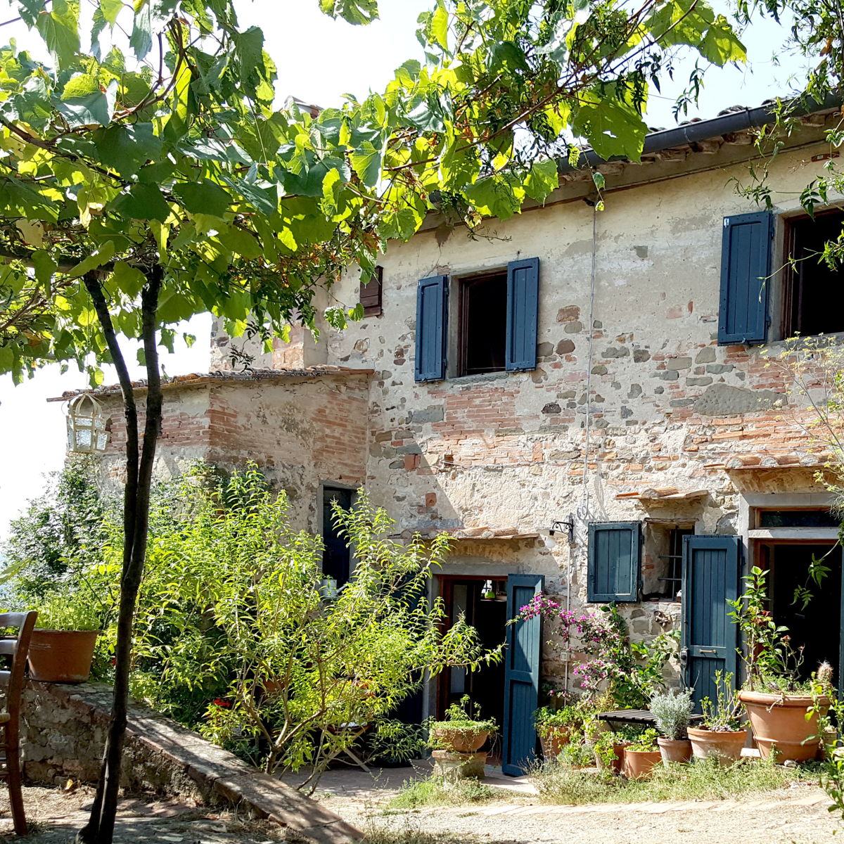Organic cooking class in an 18th century Florence farmhouse with a view