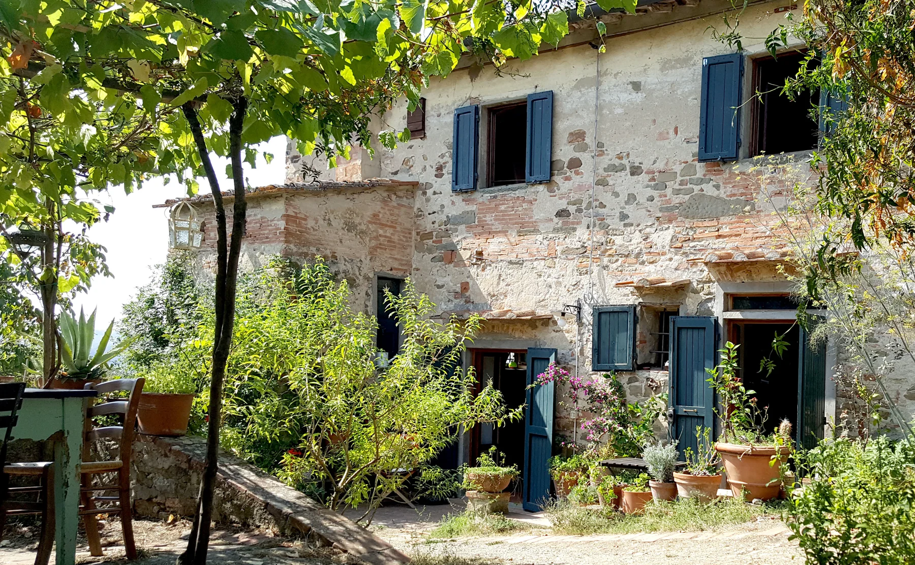 Organic cooking class in an 18th century Florence farmhouse with a view - 820498