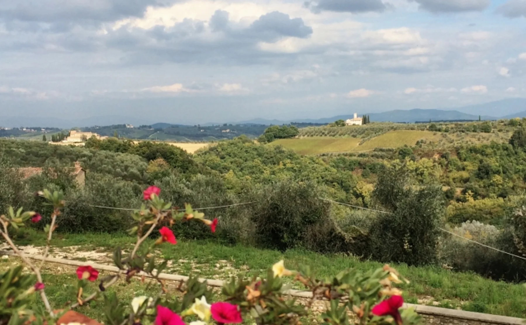 Special local Food & Wine surrounded by a Tuscan view - 9619