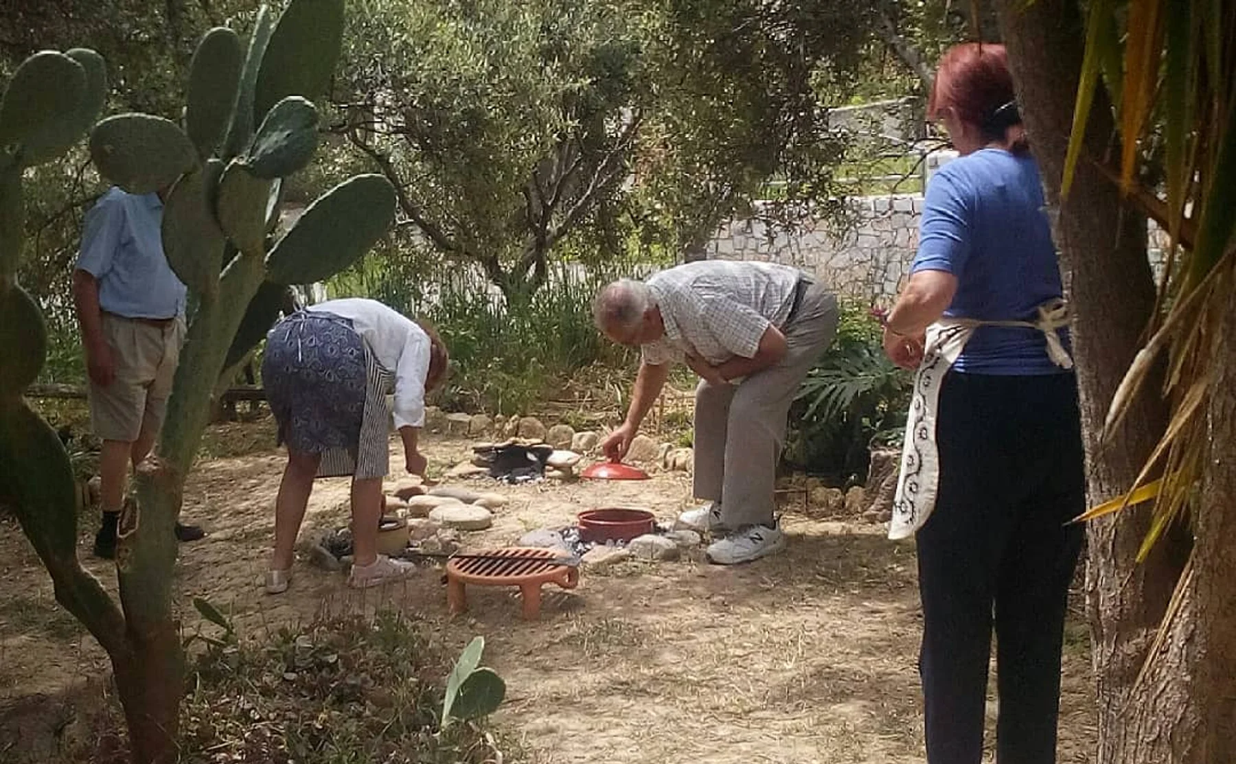 Ancient Greek Cooking Class in Olive Grove - 999634